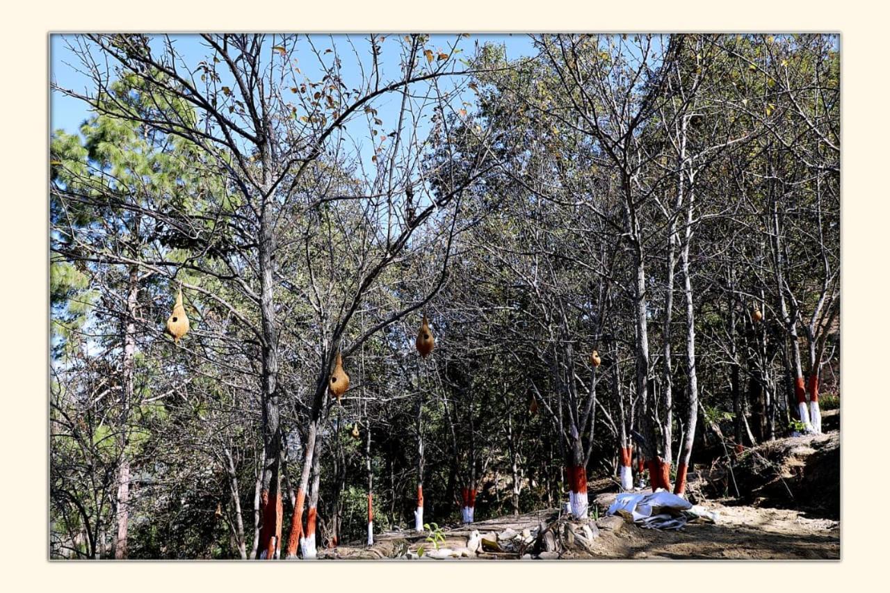 Отель The Ranikhet Continental Экстерьер фото