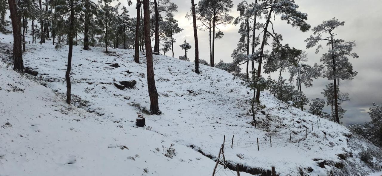 Отель The Ranikhet Continental Экстерьер фото