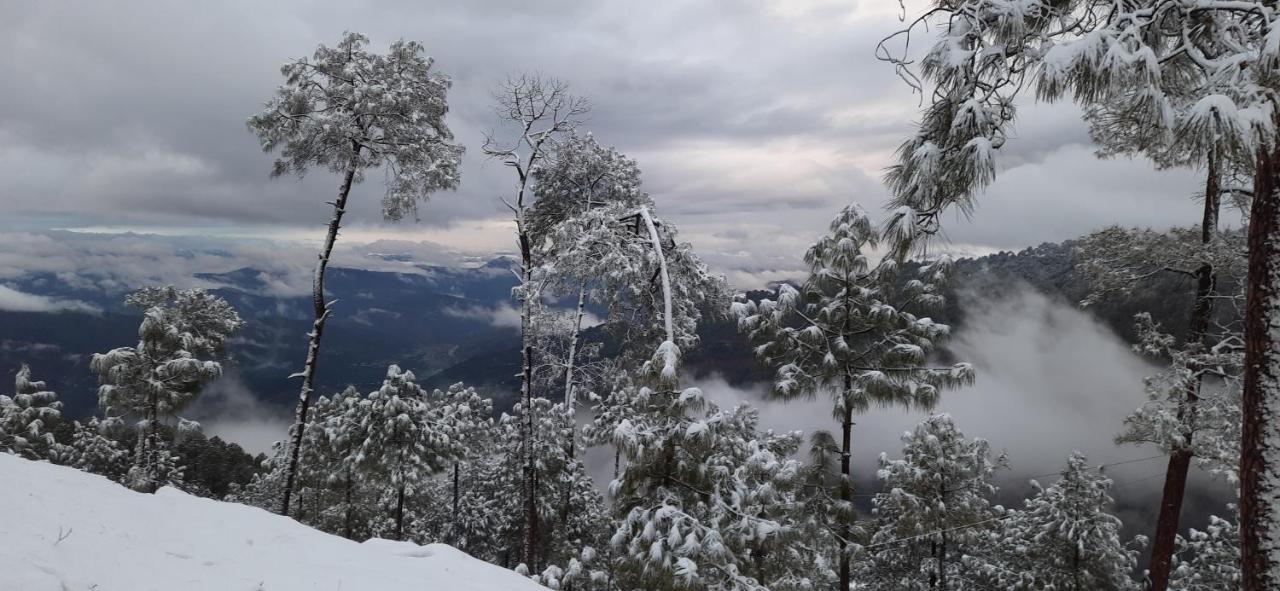 Отель The Ranikhet Continental Экстерьер фото