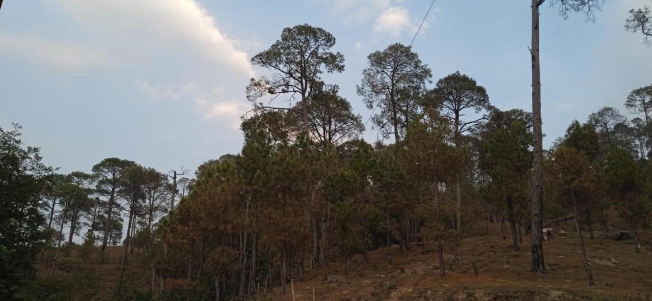 Отель The Ranikhet Continental Экстерьер фото